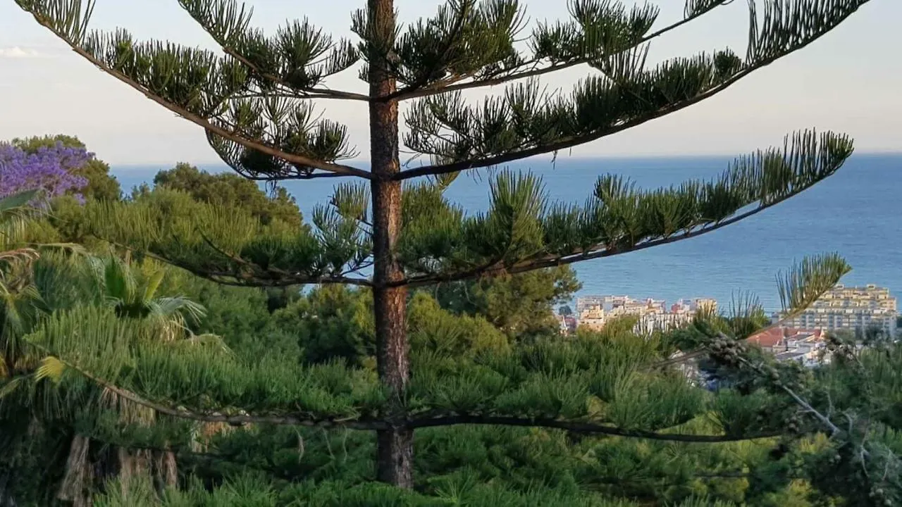 Rentcostadelsol Villa Pinares-马拉加